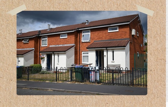 Stock Condition Survey What happens next?