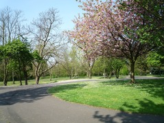 West Smethwick Park