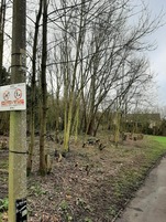 Blakedon Road open space after a 'green hit squad' visit