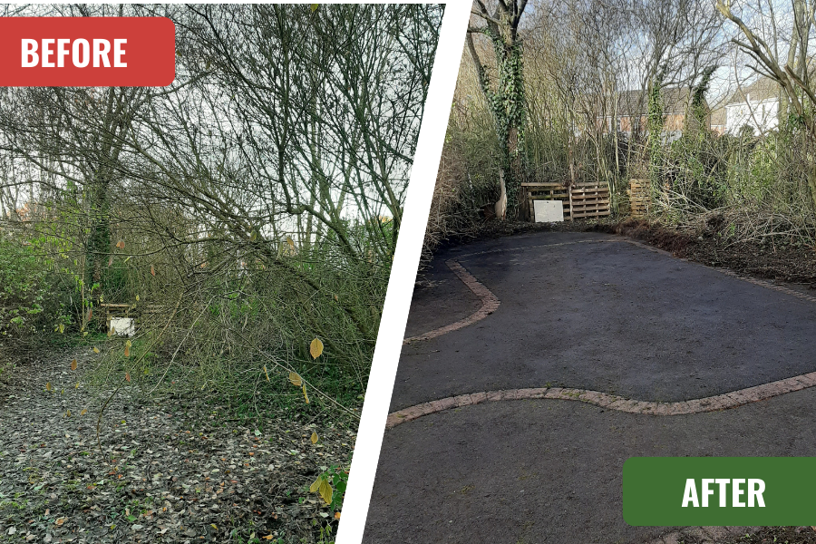 Cypress Gardens before and after a clean-up