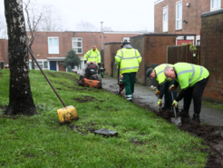 Clean-up on Metric estate