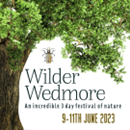 Wilder Wedmore