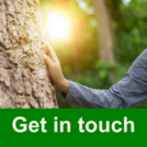 Image of hand touching tree with wording Get in touch