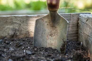 A trowel in a pile of compost