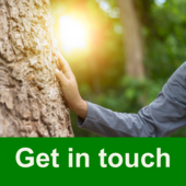 Keep in touch. IMage of person placing their hand on a tree