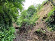 Landslide debris burying part of the road below at Chinnock Hollow