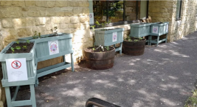 Frome Seed Library