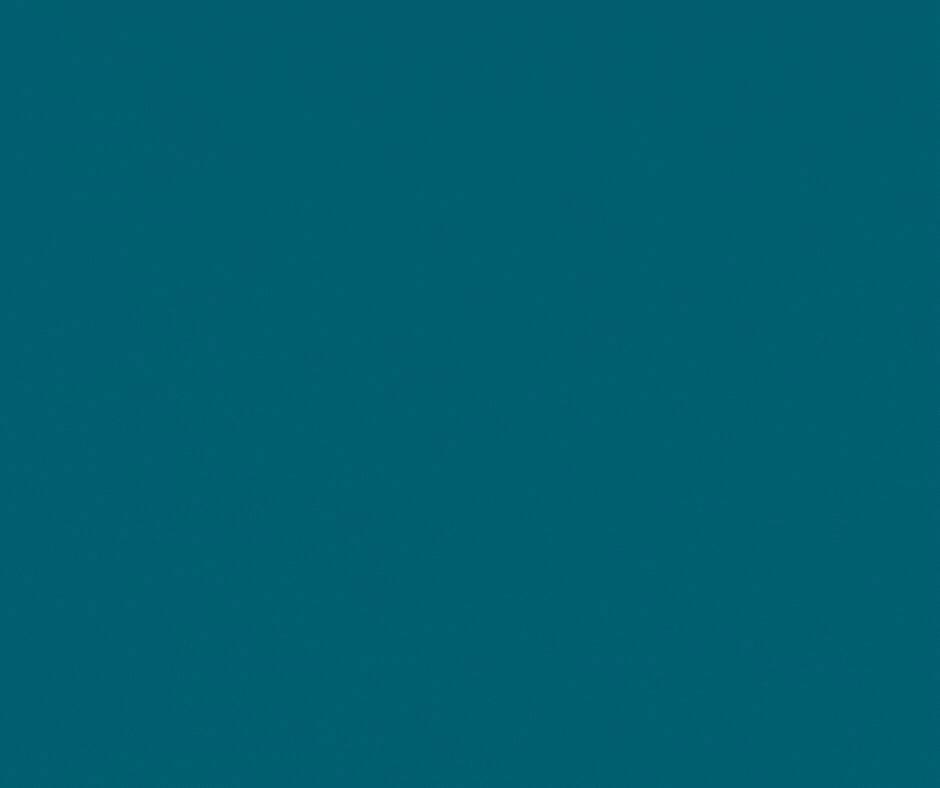 Click this button to give feedback and ask questions