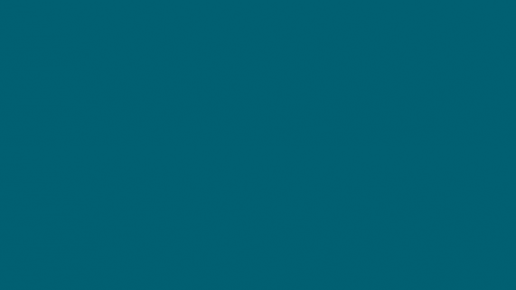 GIF with Damp & Mould Roadshow dates.