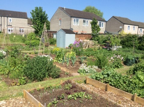 National Allotment Week from Monday 7 – Sunday 13 August