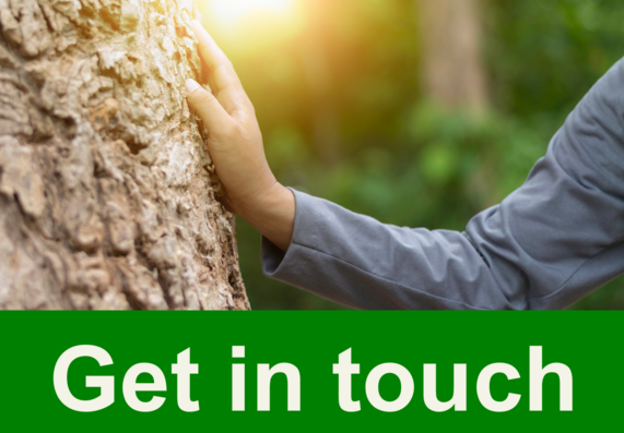 get in touch. Image of person pressing hand on the trunk of a tree