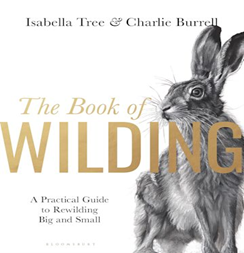 Front cover of the book of wilding showing a pencil sketched hare