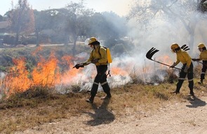 Image of firefighters trying to put out wild fires in Europe