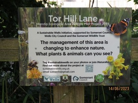 Signage at Tor Hill Lane, Wells to show it is now a rewilding area