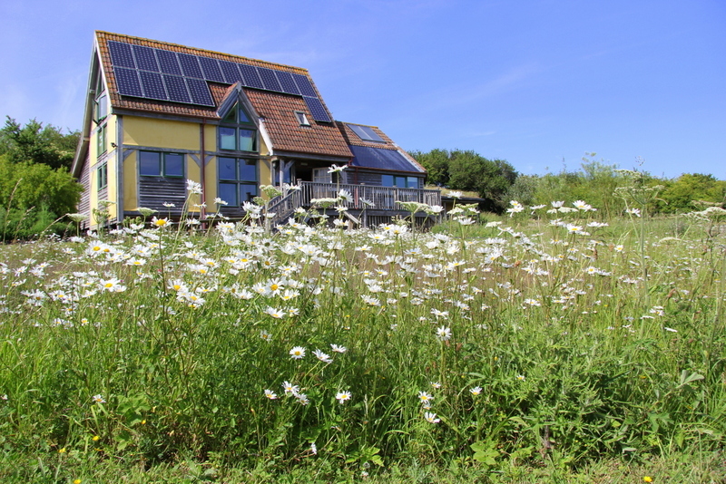Picture of the Carymoor Environmental Trust building, with flowers in the foreground