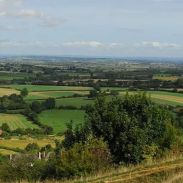 A landscape in Somerset