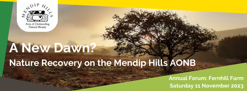 banner for mendip hills annual forum showing scene of landscape on mendip hills