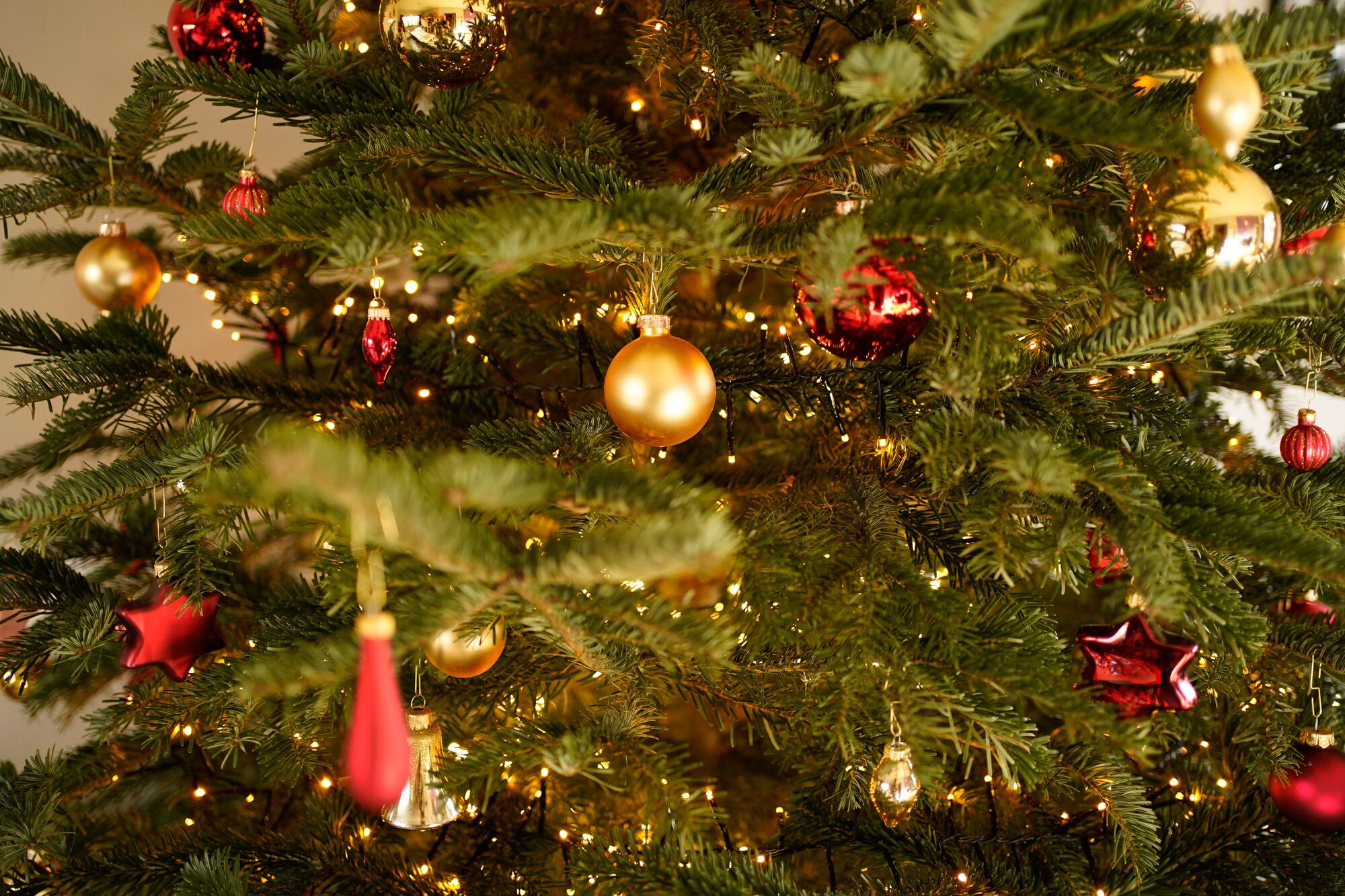 Christmas tree with decorations