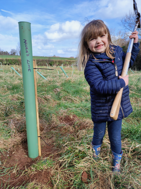A child with a spade at a tree planting event