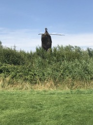 Photo showing the willow man