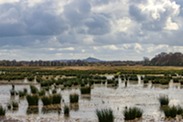 photo of the flooded Levels and Moors