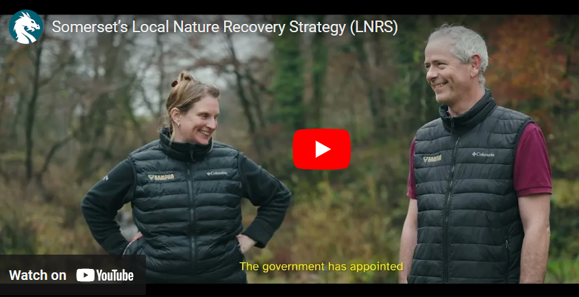 Screen shot of Somerset's Local Nature Recovery Strategy video