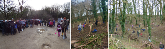 A group of volunteers at the community tree planting event on Ham HIll