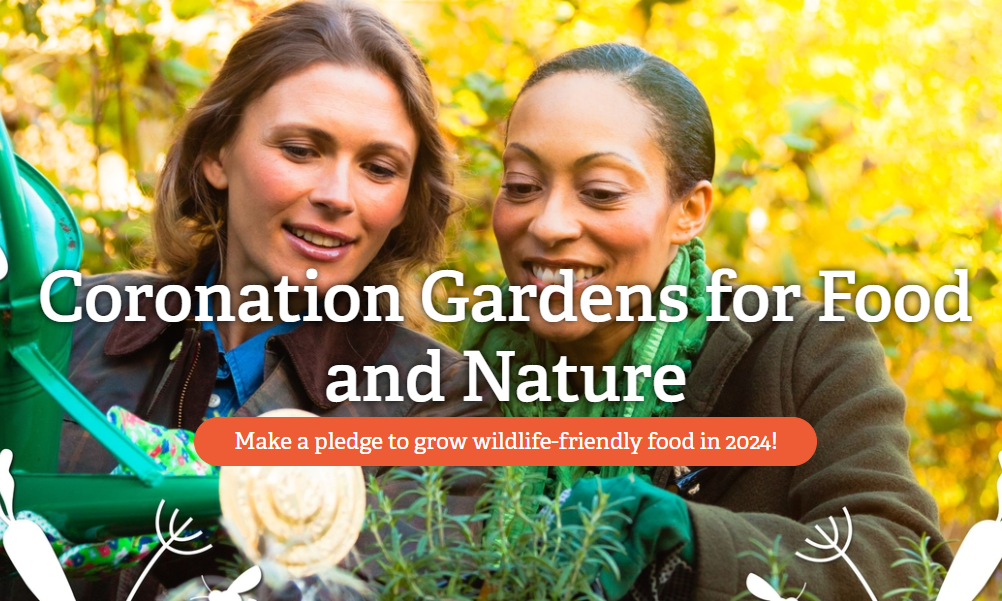 Coronation garden website banner. Two women growing their own food.
