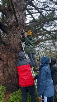 volunteers put up bird boxes at Yeovil Country Park