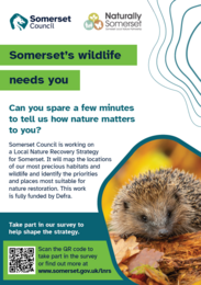 Local Nature recovery strategy poster promoting the public consultation. Hedgehog and QR code to scan