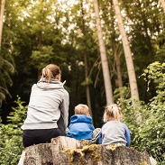 adult and two children exploring woodland