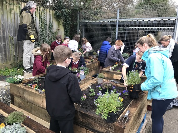 Children at oakfield school in from preparing planters