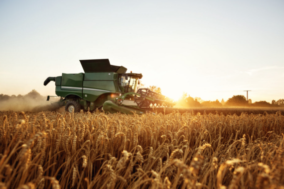 image of combine harvesting on wheat field