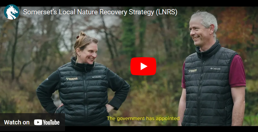 Screen shot of the Local nature Recovery Strategy for Somerset film