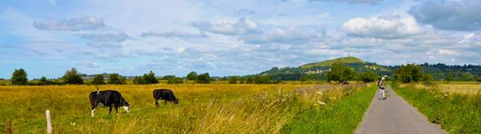 A view across the wetland moors towards Glastonbury tor
