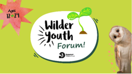 Wilder Youth Forum