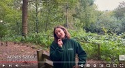 Yeovil Country park video