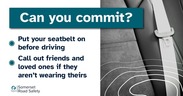 Fatal Five seatbelt graphic