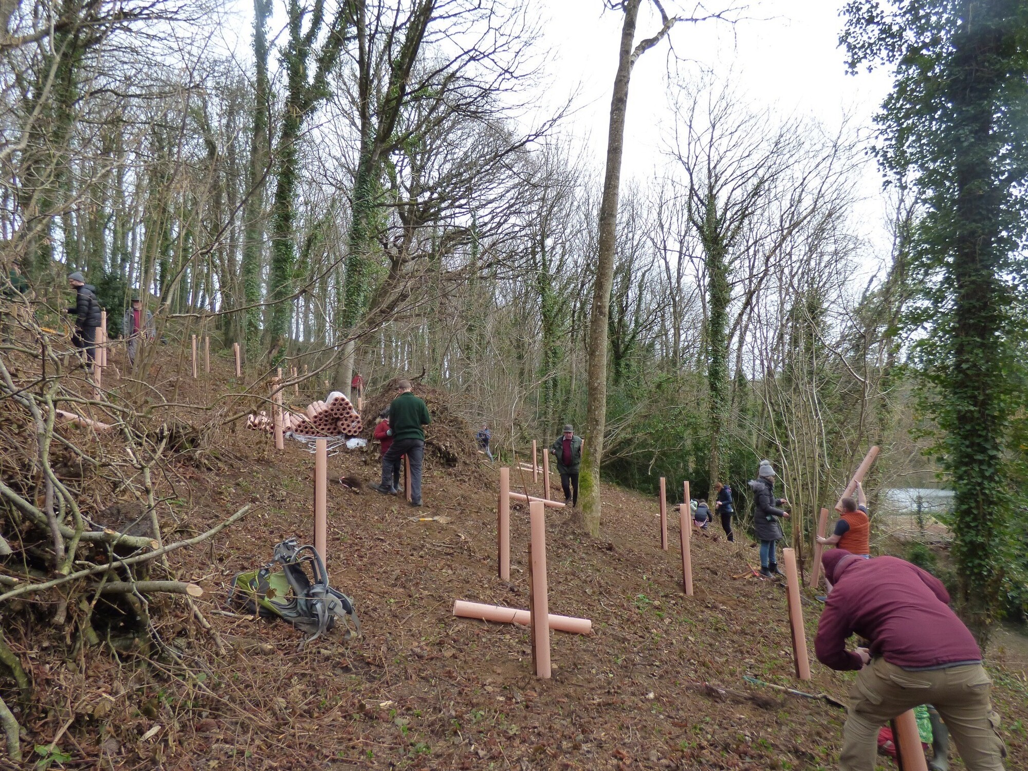 Community tree day. Members of the public planting a mix of native trees at Pit Wood Ham HIll