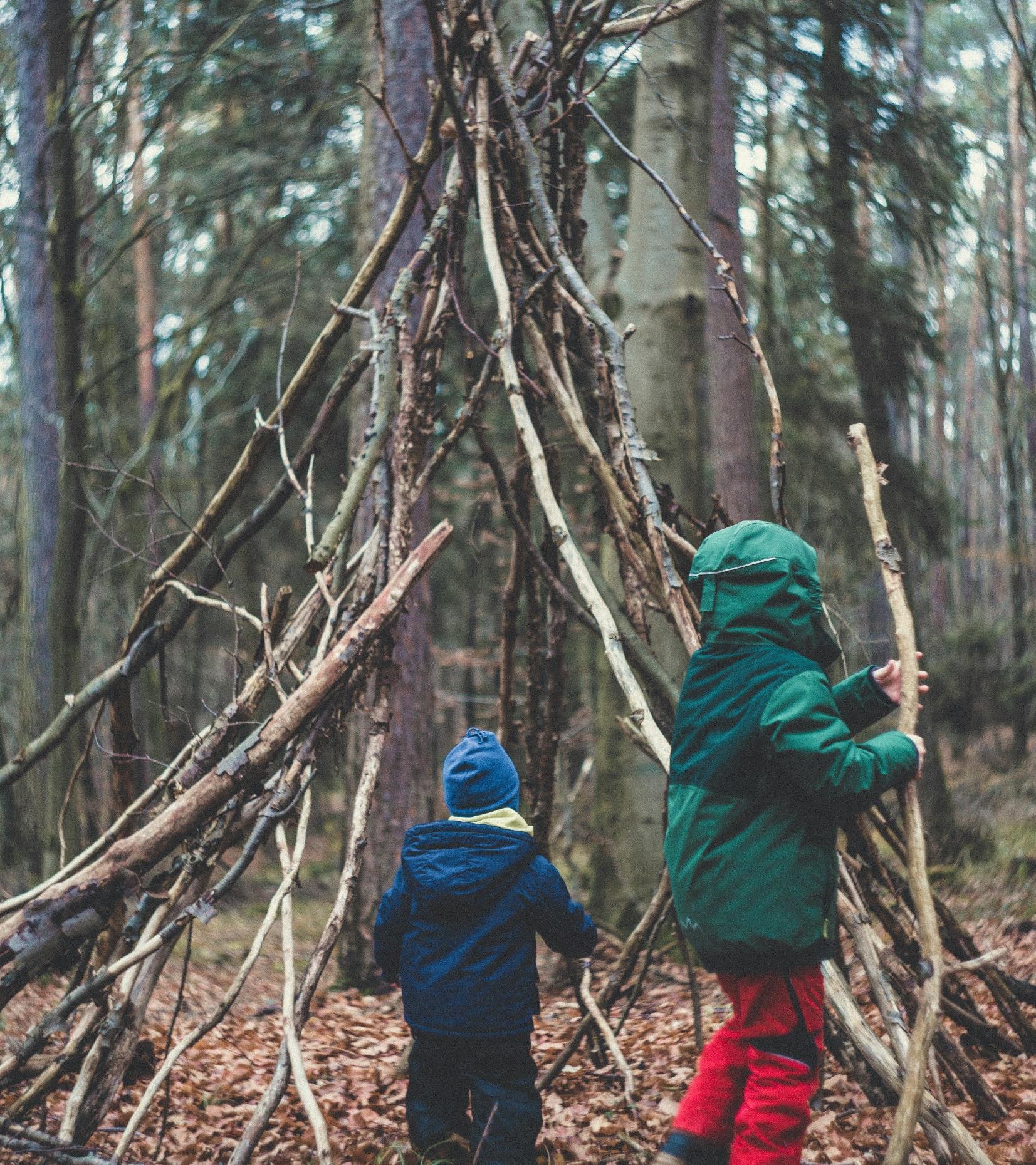 Two children in a forest making a wigwam out of tree branches.