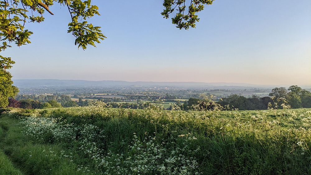 A view of the Somerset Countryside