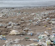 A beach covered in litter made up of single use plastic items