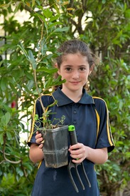Young girl holding a sapling tree