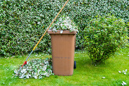 Piles of leaves next to a brown wheeled bin. 