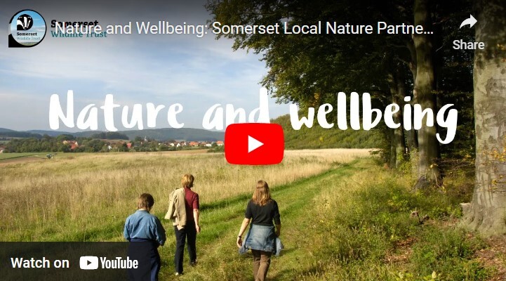 screen shot of somerset wildlife trust film about nature and wellbing