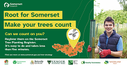 Social graphic featuring a man holding a young tree sapling, captioned: 'Root for somerset. Make your trees count'.