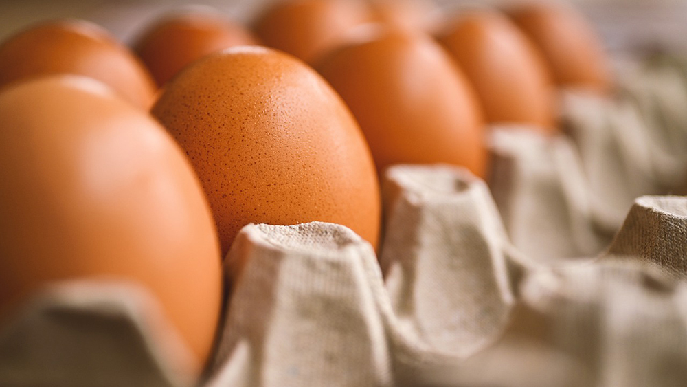 Stock image of chicken eggs in a carton by Erika Varga from Pixabay.