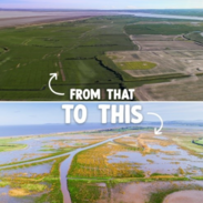 steart marshes