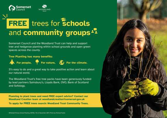 woodland trust free school trees