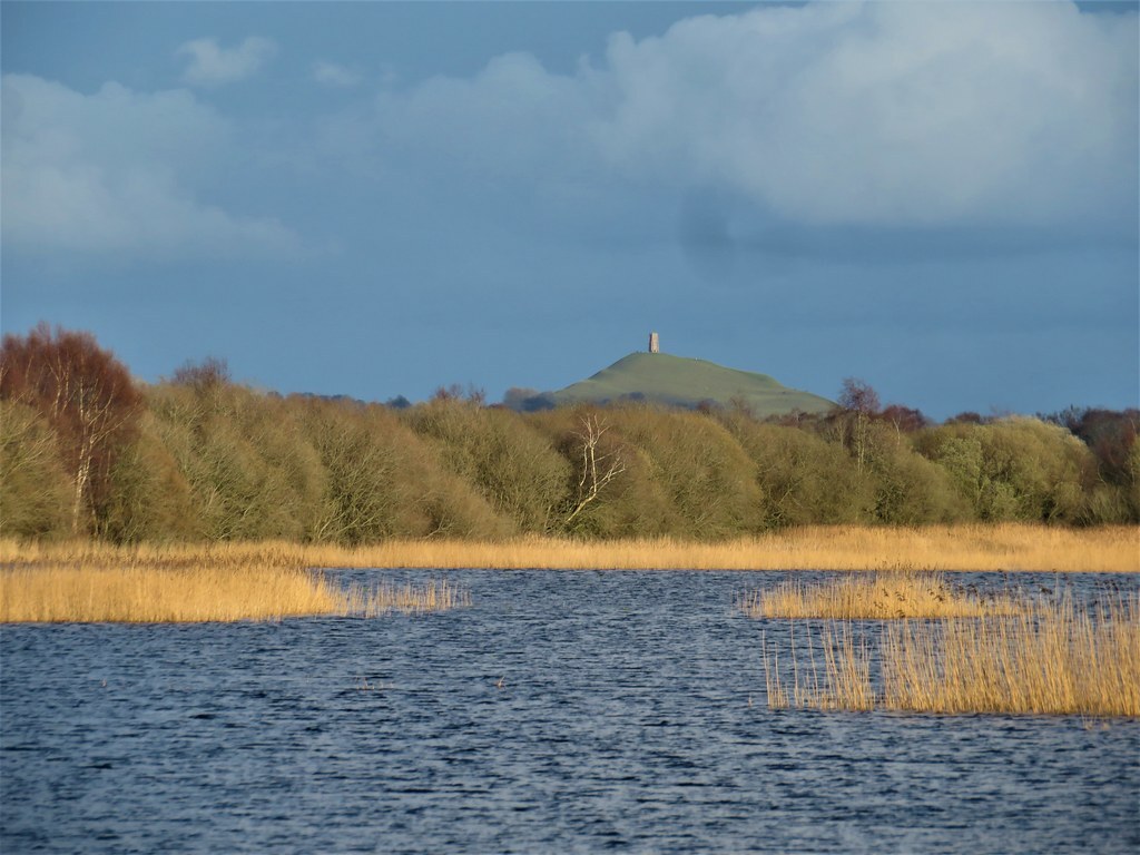 A view across Avalon Marshes looking towards Tor Hill Glastonbury